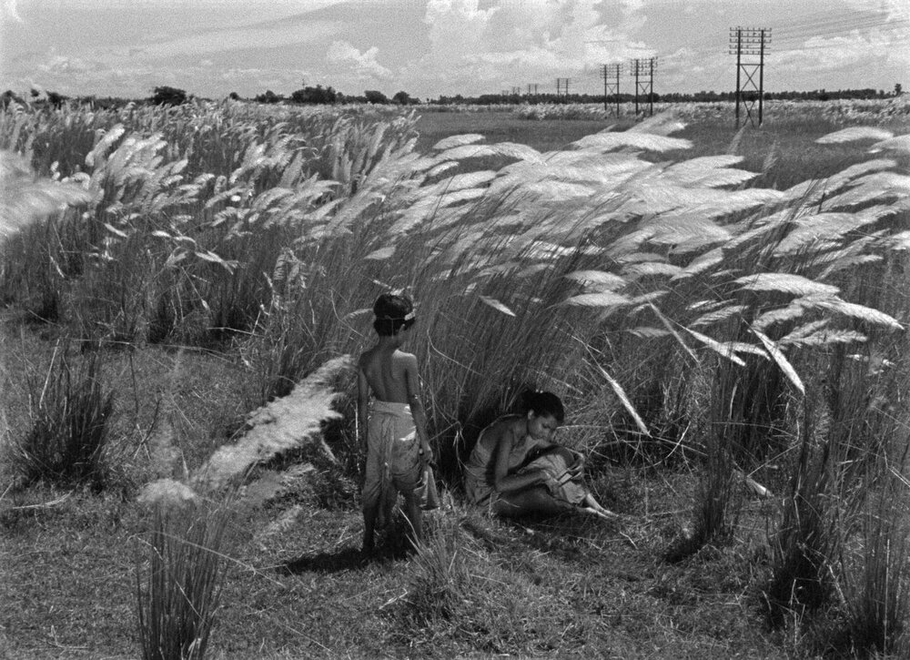 1955.大地之歌. 黑白 中字 印度剧情 高清 豆瓣8.9 Pather.Panchali.CC.BD.MiniSD-TLF