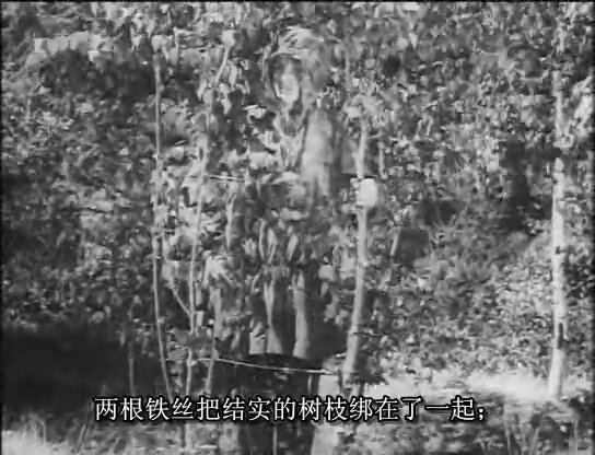 1944.二战德军狙击手教学影片 黑白中字 清晰 德国记录片 豆瓣8.6 German.Sniper.The.Invisible.Enemy - Der deutsche Scharfschütze