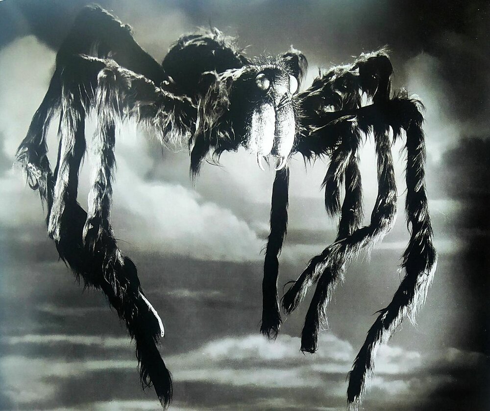 1955.塔兰图拉毒蛛 黑白 无字 美国恐怖科幻 高清 豆瓣7.0 Tarantula.DVDRip.XviD-iMMORTALs
