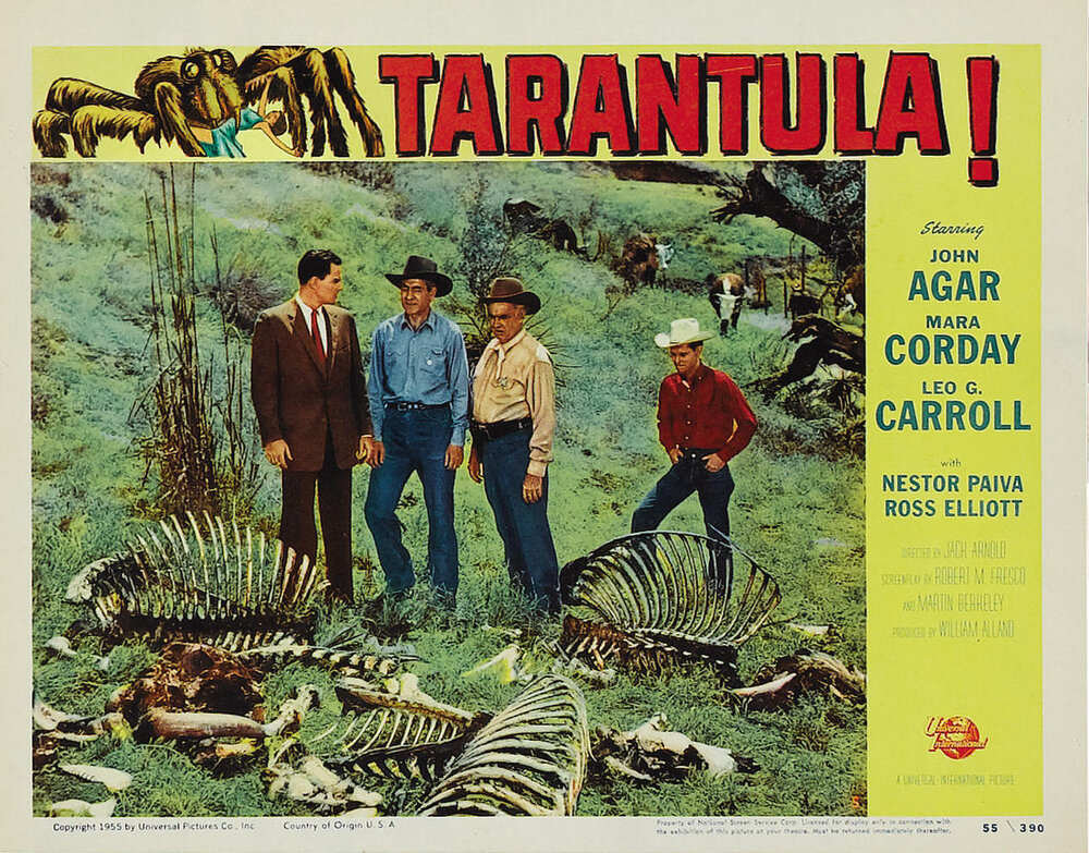 1955.塔兰图拉毒蛛 黑白 无字 美国恐怖科幻 高清 豆瓣7.0 Tarantula.DVDRip.XviD-iMMORTALs