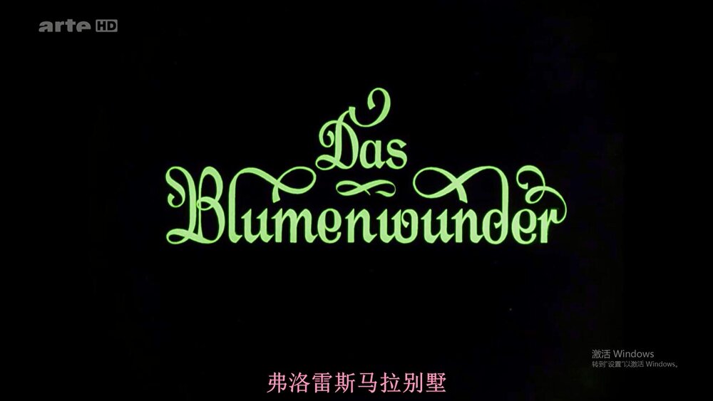 1926.花的奇迹 默片 彩色 清晰 德国纪录片 豆瓣无分