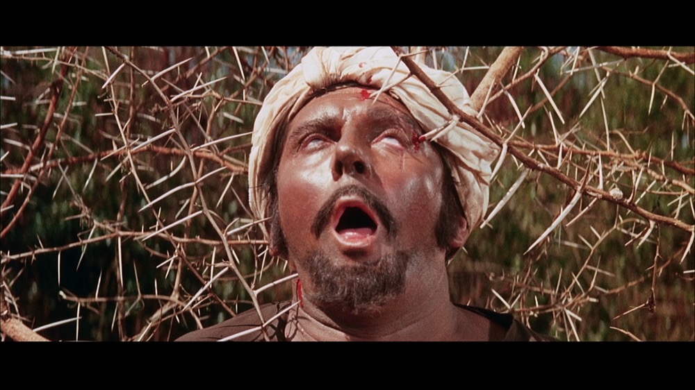 1966.裸杀万里追.彩色 中字 高清 美国南非冒险 豆瓣7.3 The.Naked.Prey.D9.CC.MiniSD-TLF