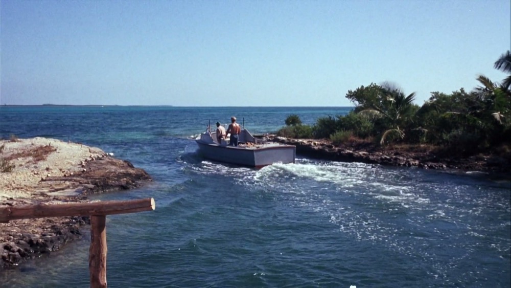 1963.海豚飞宝 彩色 无字 美国冒险家庭 高清 豆瓣无分 Flipper.720p.WEB-DL-AAC2.0.H264