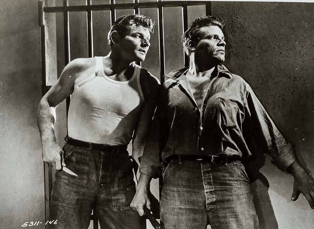 1954.牢狱大暴动.黑白 中字 高清 美国犯罪黑色 豆瓣6.8 Riot.In.Cell.Block.11.BD.CC.2Audio.MiniSD-TLF