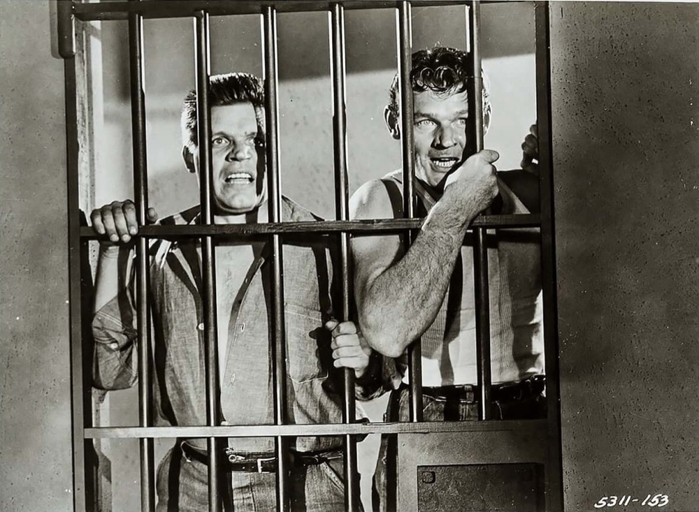 1954.牢狱大暴动.黑白 中字 高清 美国犯罪黑色 豆瓣6.8 Riot.In.Cell.Block.11.BD.CC.2Audio.MiniSD-TLF