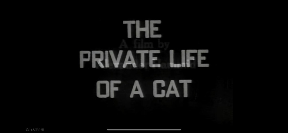 1944.猫的私生活 黑白无字 美国记录短片 高清 豆瓣8.3 The.Private.Life.of.a.Cat