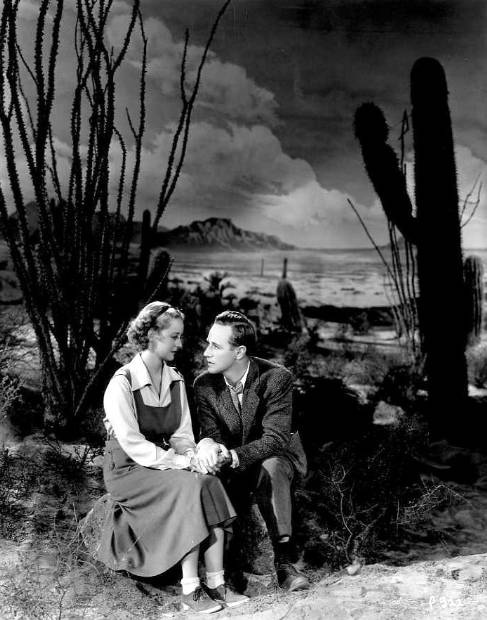 1936.化石森林 黑白 中字 美国爱情 高清 豆瓣7.7 The.Petrified.Forest.D9.MiniSD-TLF