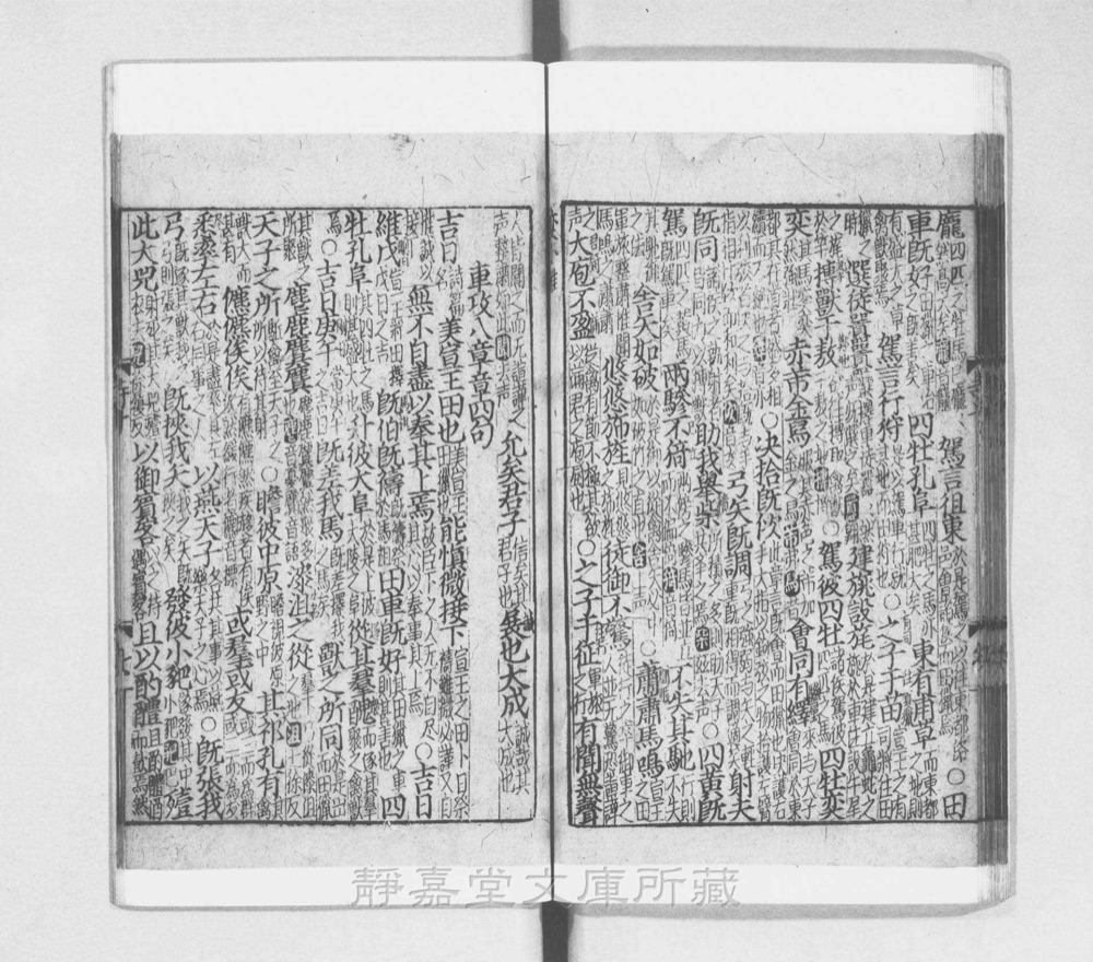 图3 正文版式(内页书影)