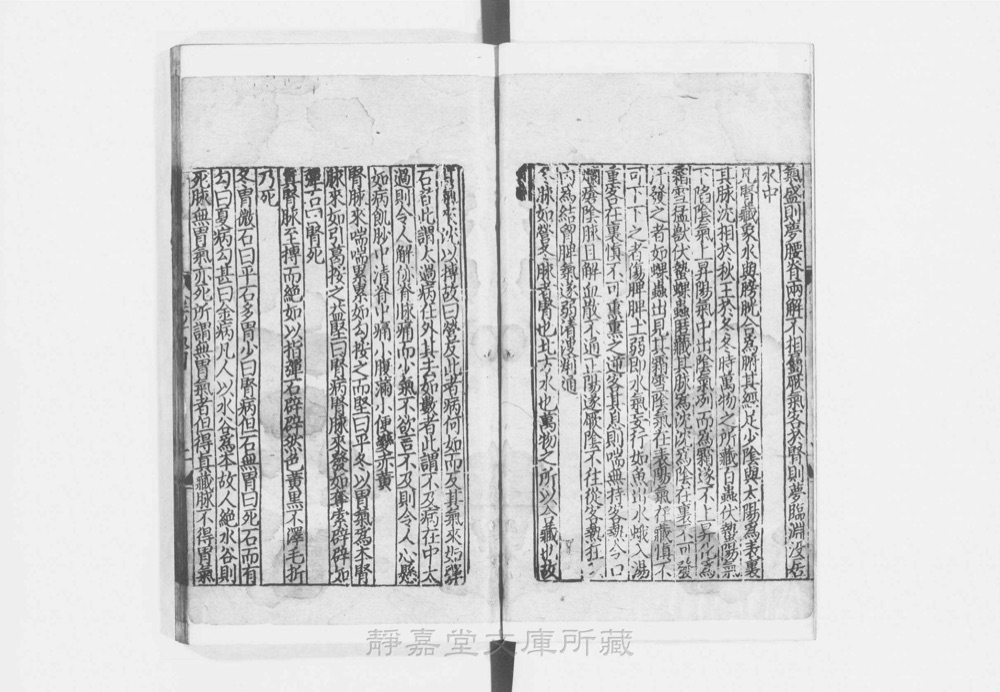 图3 正文版式(内页书影)