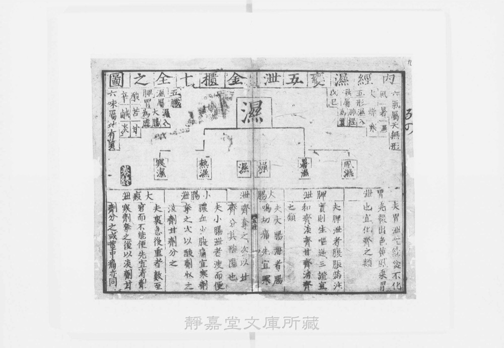 图3 正文版式(内页书影)
