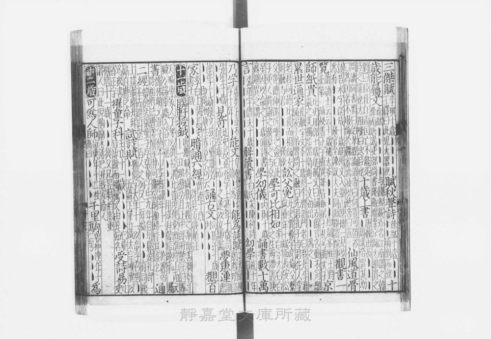 图3 正文版式（内页书影）