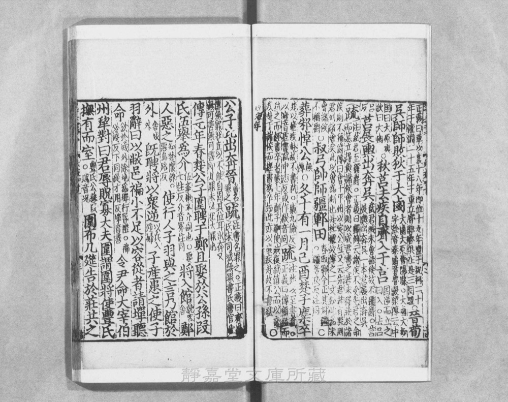 图3 正文版式(内页书影)