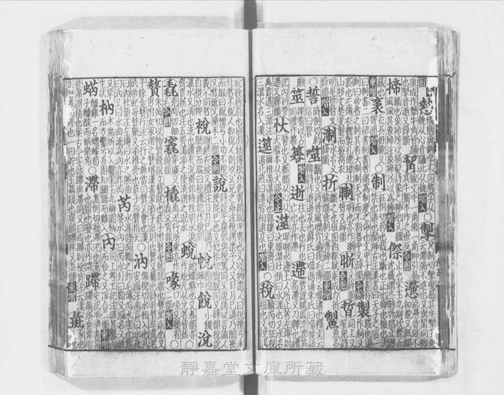 图3 正文版式(内页书影)