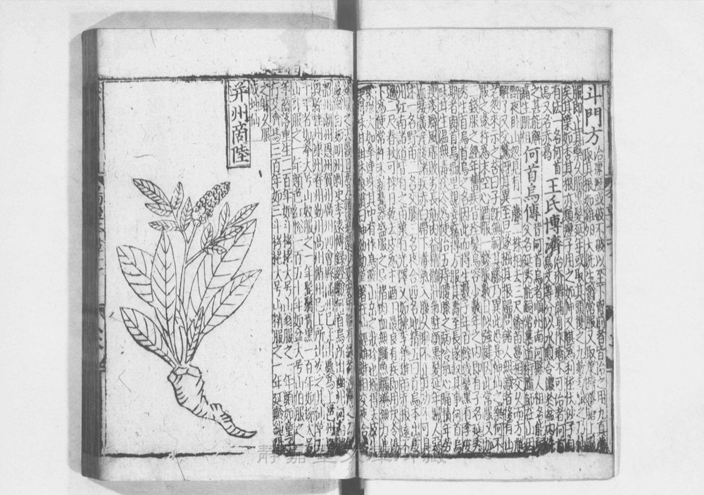 图3 正文版式(内页书影)