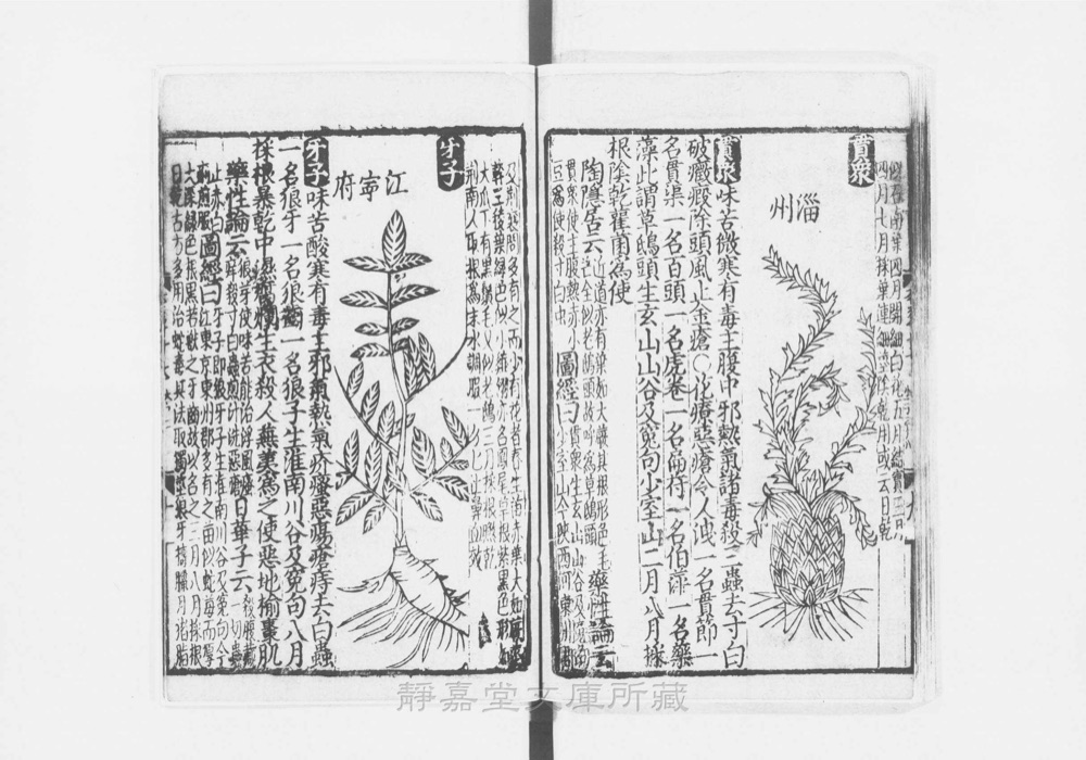 图3 正文版式(内页书影)