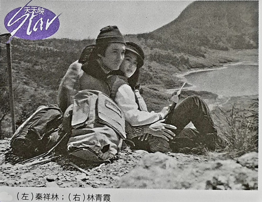 1975.长青树 彩色清晰 爱情 台湾 豆瓣无分