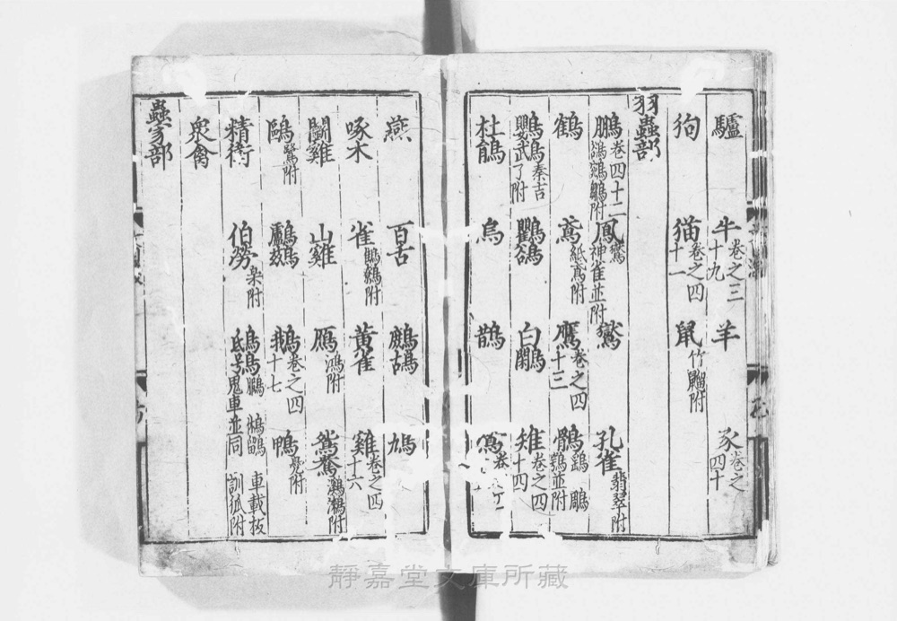 图2 卷首书影(书名页/序目)