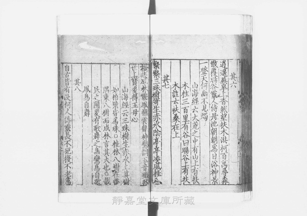 图3 正文版式(内页书影)