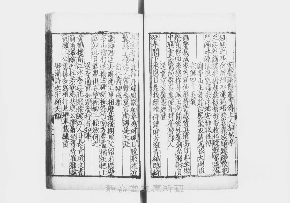 图3 正文版式(内页书影)