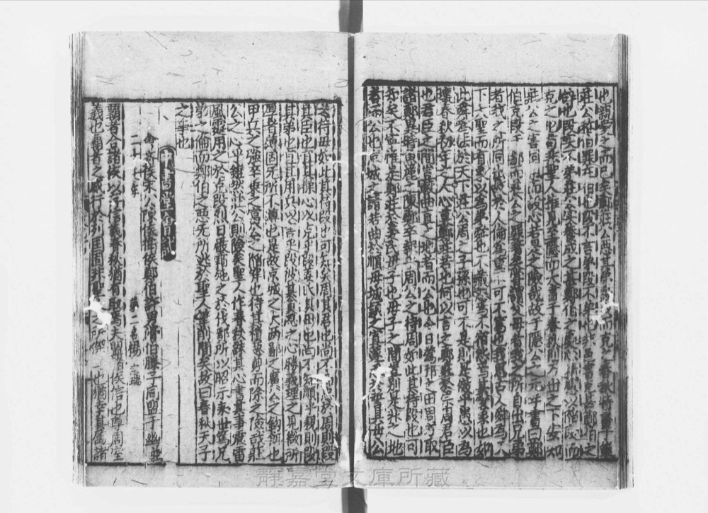 图3 正文版式(内页书影)