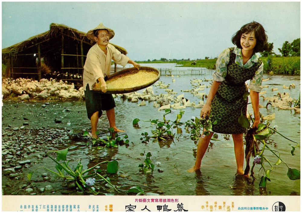 1965.养鸭人家 彩色清晰 爱情 台湾 豆瓣6.7