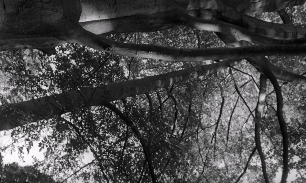 1964.雨天下的迎神会 黑白中字 清晰 英国惊悚犯罪 豆瓣7.7 Seance on a Wet Afternoon.DVDRip.x264